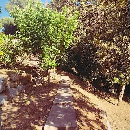 Il Boschetto Sul Mare - Goelba